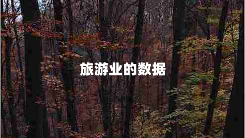 旅游業(yè)的數(shù)據(jù)