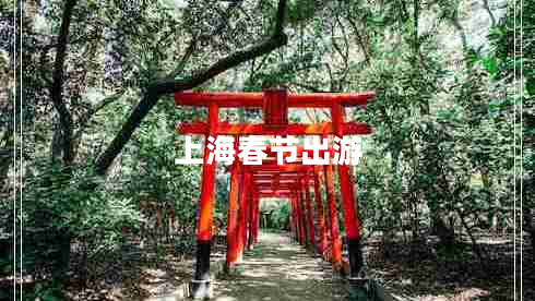 上海春節(jié)出游 上海春節(jié)出游
