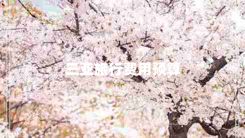 三亞旅行費用預(yù)算 三亞旅行費用預(yù)算