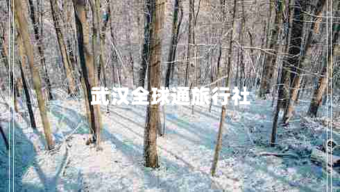 武漢全球通旅行社 武漢全球通旅行社