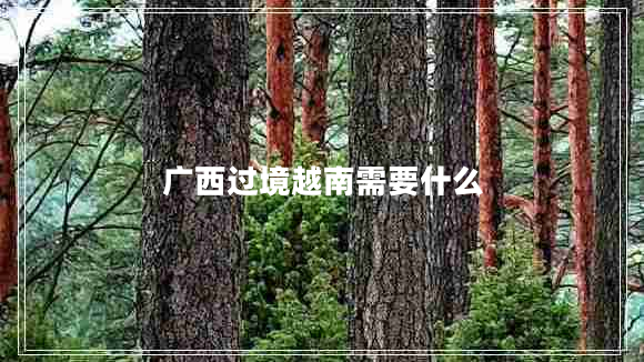 廣西過(guò)境越南需要什么