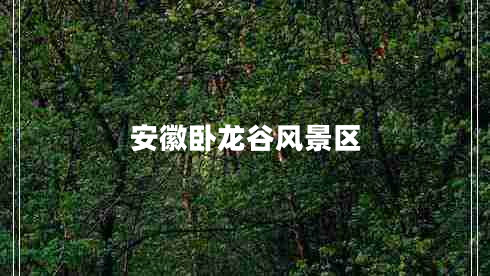 安徽臥龍谷風(fēng)景區(qū)