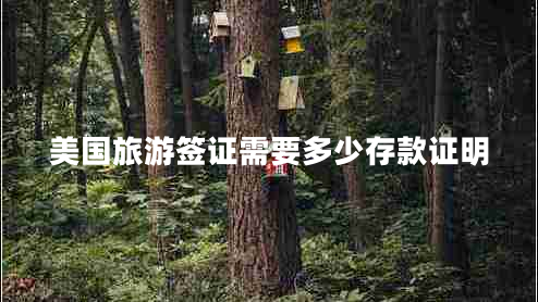美國(guó)旅游簽證需要多少存款證明