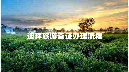 迪拜旅游簽證辦理流程