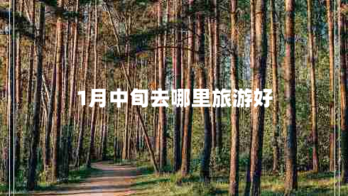 1月中旬去哪里旅游好 1月中旬去哪里旅游好