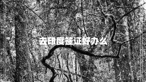 去印度簽證好辦么 去印度簽證好辦么