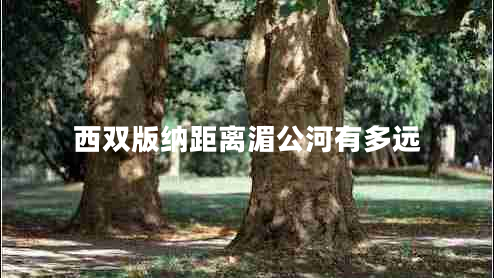 西雙版納距離湄公河有多遠(yuǎn) 西雙版納距離湄公河有多遠(yuǎn)