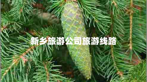 新鄉(xiāng)旅游公司旅游線路 新鄉(xiāng)旅游公司旅游線路