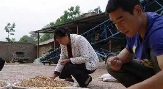 農(nóng)村一個人單干暴利項目 農(nóng)村一個人單干暴利項目