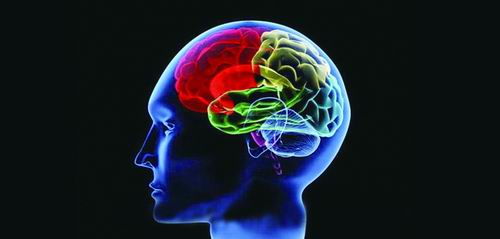 神經(jīng)功能觀察方法有哪些