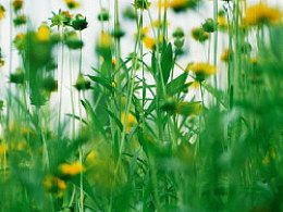 我愛大自然有哪些方法