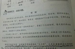 虎鯨這篇短文運(yùn)用了哪些說(shuō)明方法