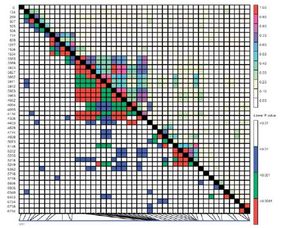 基因芯片的數(shù)據(jù)處理方法有哪些