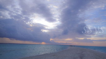 一首關于海的詩句