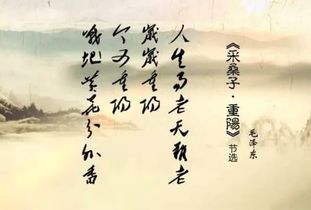 寫出節(jié)日有關(guān)的詩句古詩