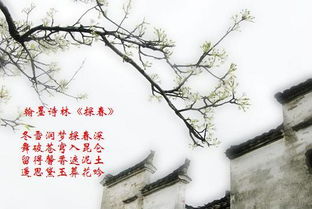 關(guān)于春月山的詩句