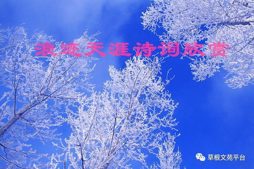 關(guān)于浪跡天涯詩句