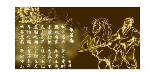 關于贊美老人的詩句集錦,贊美老人夕陽紅的詩句,贊美老人有活力的詩句
