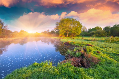 關于描寫美麗景色的詩句有哪些,描寫雪后美麗景色的詩句,描寫廬山美麗景色的詩句