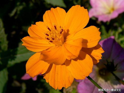 堅持不懈,詩句,于水