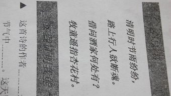 朝代,古詩(shī),詩(shī)句,全有