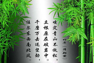 詩(shī)句,奮力,上進(jìn)