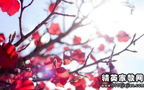 關(guān)于對生命感慨的詩句