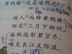 朝代,詩(shī)句,春節(jié),作者