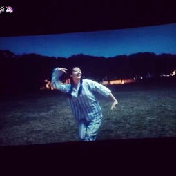 關(guān)于電影芳華的詩句