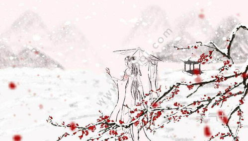 墨梅古詩(shī)詩(shī)句注釋