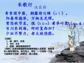 古詩75首的詩句,古詩75首思鄉(xiāng)詩句,關(guān)于丁香的詩句古詩75首