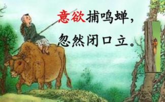 描寫兒童形象的古詩句
