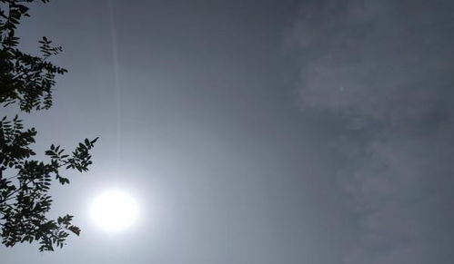 月亮寄托對(duì)親人的思念的詩(shī)句,以月寄托思念之情的詩(shī)句,用月亮寄托思念的詩(shī)句