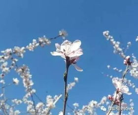 關(guān)于玉溪峨山的詩(shī)句