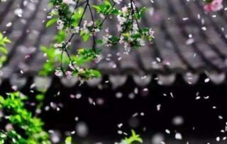 描寫春天萬物復蘇的詩句,春天萬物復蘇的句子的詩句,贊美春天萬物復蘇的詩句