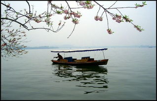 關(guān)于西湖的景色的詩(shī)句古詩(shī)大全