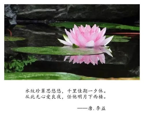 詩句,療傷,時(shí)間