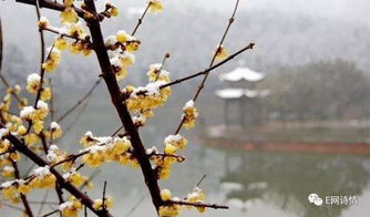 冬天的詩句六字古詩大全