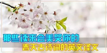 關(guān)于春天的詩句翻譯