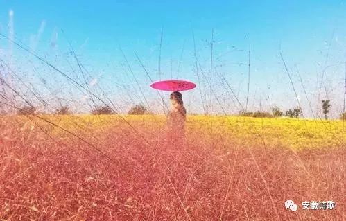 古詩詞,詩句,秋天,愛情