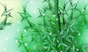 關(guān)于竹子的的詩句是什么意思