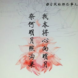 容顏老去的古詩(shī),描寫(xiě)老去的古詩(shī),形容老了的古詩(shī)句