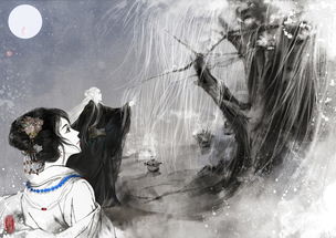 今夜你會(huì)不會(huì)來古詩句