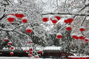 關(guān)于帶有雪和月的詩句有哪些