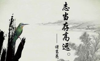 關(guān)于諸葛亮勵(lì)志的詩(shī)句