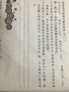 被質(zhì)疑的古詩句解釋