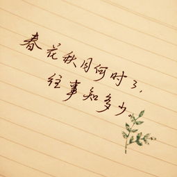 有關(guān)于空字的詩句