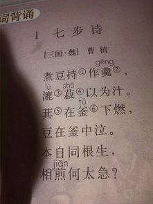 詩句,諷刺,意義