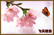 形容鯉魚的古詩句