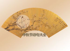 帶月的詩句關(guān)于中秋